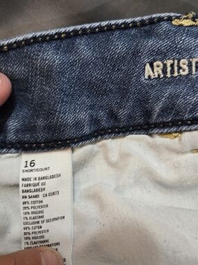 American Eagle Artist Jeans